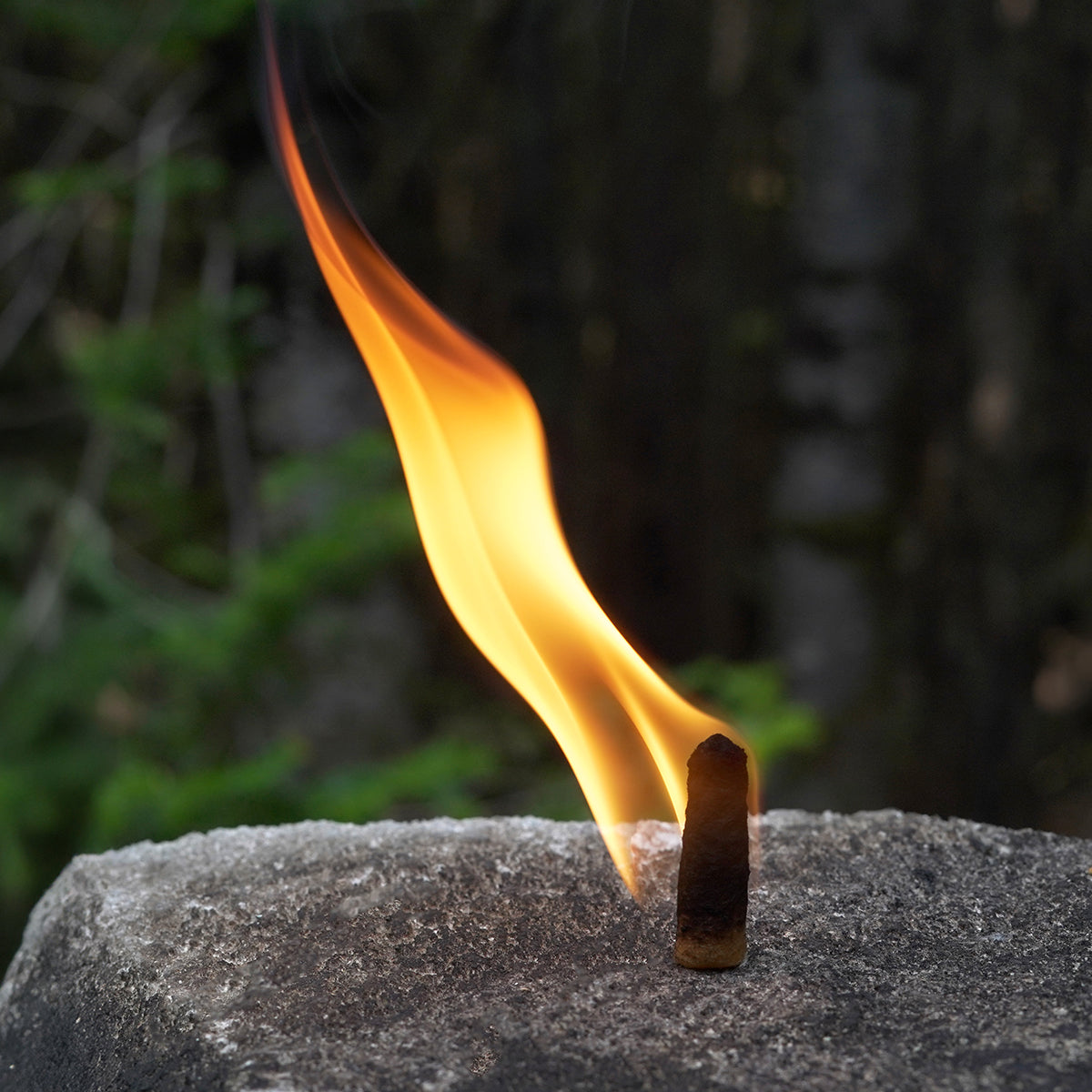 IGNITABS™ All-Weather Fire Starter